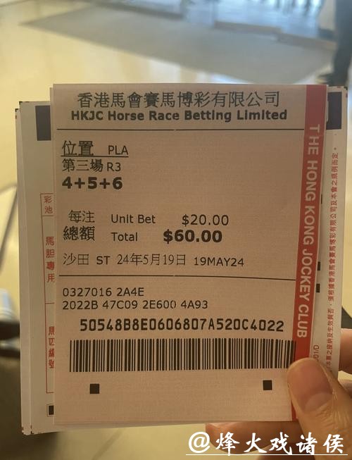 世界杯竞彩怎么押：从小白到老手