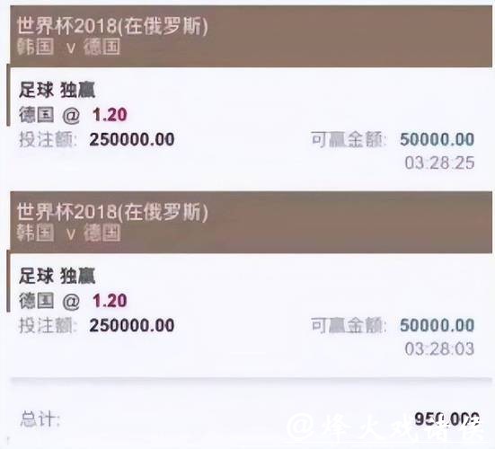 世界杯下注入口：可靠平台保障投注安全性