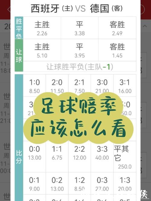 世界杯投注官网：实时比赛赔率更新